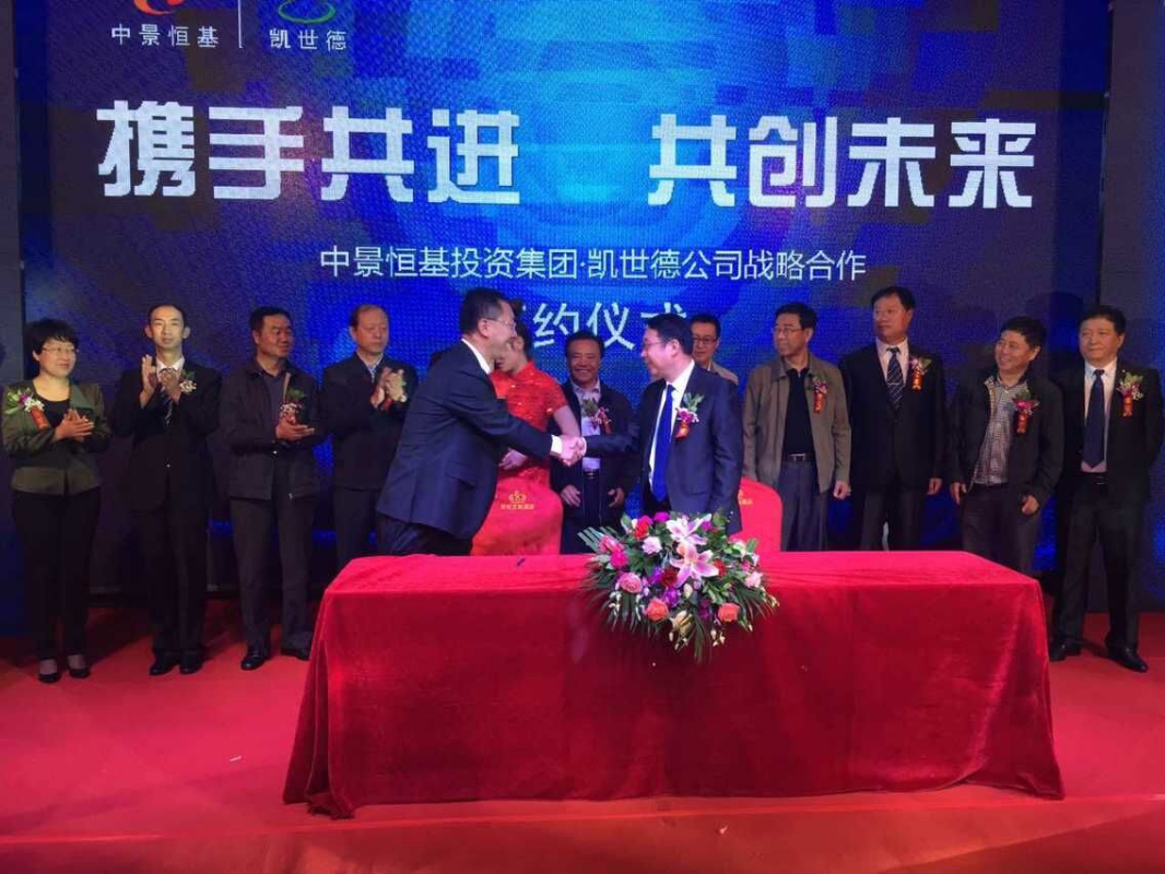 凱世德公司股權托管項目_